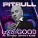 Pitbull feat. Anthony Watts, DJWS - I Feel Good