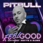 album image I Feel Good I Feel Good (feat. Anthony Watts & DJWS) - Single