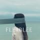 remix avcisi feat can242 - flexblee