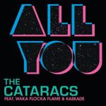 album image All You All You (feat. Waka Flocka Flame & Kaskade) - Single