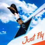album image Just Fly Just Fly - Single
