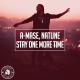A-Mase feat. Natune - Stay