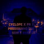 album image passarinho que som e esse