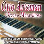 album image Walkin' Organ