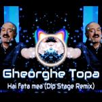 album image Hai Fata Mea Hai Fata Mea (Dip Stage Remix) - Single