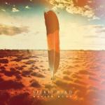 album image Follow The Sun Spirit Bird