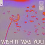 album image Wish It Was You (feat. Cate Downey) Wish It Was You (feat. Cate Downey) - Single