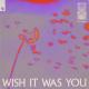 Audien - Wish It Was You (feat. Cate Downey)