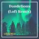 fasetya - dandelions