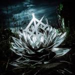 album image Black Hole Darkbloom