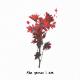 fawlin, julia alexa & the bootleg boy - the person i am