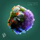 Q.U.A.K.E., Asher Swissa - Unity