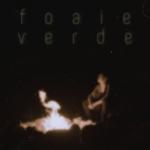 album image Foaie Verde Foaie Verde - Single