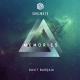 davit barqaia - Memories