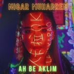 album image Ah Be Aklım Ah Be Aklım - Single