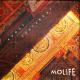 Darya - Molife