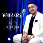 album image Limon Çiçeğim Limon Çiçeğim - Single
