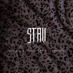 album image Stay Stay - Single
