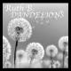 Неизвестен - dandelions slowed reverb  - ruth b