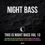 album image Get Down [vk.com/hithotmusic] #BassHouse This is Night Bass: Vol. 13
