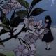 shady moon - cherry blossom
