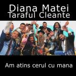 album image Am Atins Cerul Cu Mana Am Atins Cerul Cu Mana (feat. Taraful Cleante) - Single