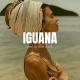 AliKO Beats - AliKO Beats Iguana Oriental Reggaeton Type Beat -Instrumental- Prod by AliKO Beats-textmp3ru_(Comedy