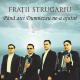 Fratii Strugariu - Cand Team Chemat