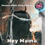 album image Hey Mama Hey Mama - Single