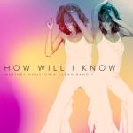 album image How Will I Know How Will I Know - Single