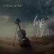 Mr.FIRA - Cold Wind