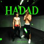 album image YNY SEBI X PETRE STEFAN - HADAD (OFFICIAL MUSIC VIDEO) Hadad - Single