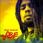 album image Vibe Vibe - Single