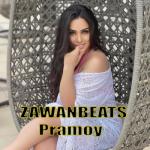 album image Meyxana - Pramoy Remix