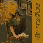 album image argyle argyle - Single