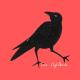 Nightbirde - Turn