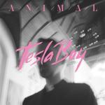 album image Animal Animal - Single