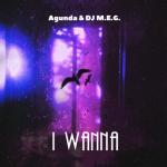 album image I Wanna I Wanna - Single