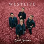 album image Starlight Wild Dreams (Deluxe Edition)
