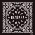 album image Bandana (FIXSOULS REMIX) BANDANA I