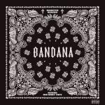 album image Big Tymers(slow) BANDANA I