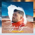 album image Yandi Gonul (TRmusic) Yandı Gönül - Single