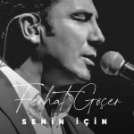 album image Senin İçin Senin İçin - Single