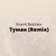Shamil Beshliev - Туман (Remix Cover) [mp3zen.net]