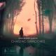 Banaati, Haen, Lewyn - Chasing Shadows (Original Mix)