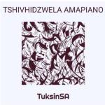 album image Gisveldeba Tmebi (Giga Papaskiri Edit) Tshivhidzwela Amapiano - Single