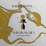 album image Wild in Secret Wild in Secret (feat. Valeria Stoica) - Single