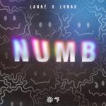album image Numb Numb - Single