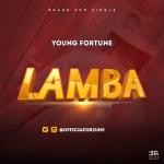 album image ултразвук Lamba - Single
