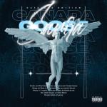 album image Canada Goose Canada Goose - Single